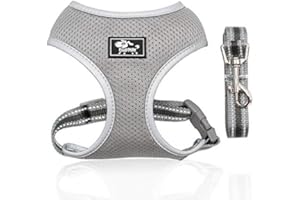 Dociote Szelki dla małego psa Odblaskowe Szelki i Smycz dla Ultralekkie Szelki dla Szczeniaków Oddychająca Kamizelka dla małych średnich psów ze Smyczą do chodzenia, Bieganie M Szary