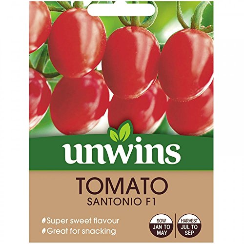 Preisvergleich Produktbild Unwins Tomate Samen - Santonio