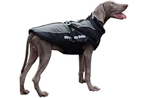 OCSOSO Cappotto per cani con imbracatura riflettente Giacca impermeabile con collo in pelliccia Felpa con cappuccio staccabile per cani di taglia media e grande Cappotto sportivo facile da passeggio