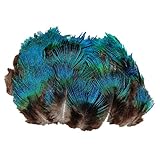 ERGEOB Pfauenfedern blaufedern DIY Basteln Federn 6-8 cm (2-3 Zoll) Länge
