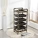 Produktbild DANTB Salon Spa Golden Retro Friseur Trolley 5 Tiers Lagerung Cart Färbung Salon Friseur Halter Mit 5 Schubladen Für Werkzeug,A
