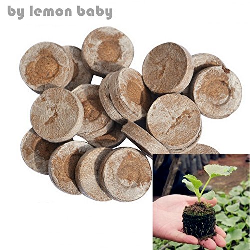 Reixus(TM) 40pcs/lot 30mm Nursery Block Jiffy Peat Pellets Seed Starting Plugs Seeds Starter Pallet Seedling Soil Block