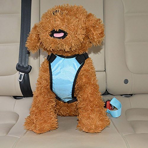 Dog Car Safety Harness and Runing Training Harness (L)