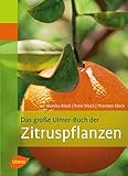 Image de Das große Ulmer-Buch der Zitruspflanzen (Pflanzen-Monographien)