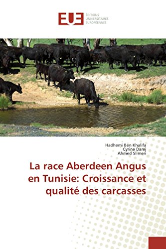La race aberdeen angus en tunisie: croissance et qualité des carcasses gratuit La race aberdeen angus en tunisie: croissance et qualité des carcasses gratuit