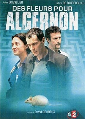 Gie Sphe-Tf1 Des fleurs pour Algernon