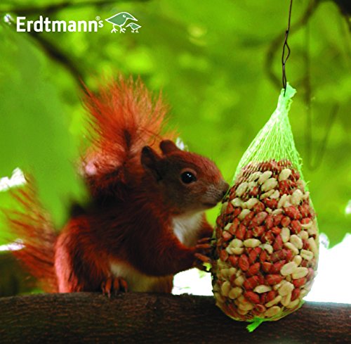 Erdtmanns Eichhörnchenfutter Big Pack (3 x 300 g), 1er Pack (1 x 900 g) - 5