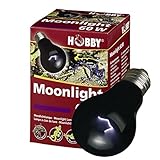 Hobby 37374 Moonlight 60 W