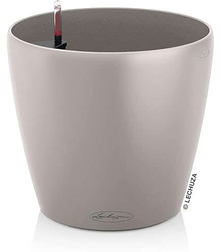 Kante