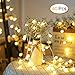 Produktbild Lichterkette, phixilin 4.2m 40 LED Globe Lichterkette Deko Glühbirne Beleuchtung Kugel Lichterkette mit 2 Modi für Weihnachten, Hochzeit, Party, Zuhause, Garten, Balkon, Fenster, Bar - Warmweiß