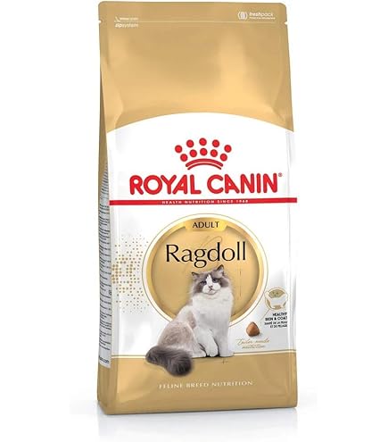 ROYAL CANIN Indoor Long Hair Cat Food 10kg : Amazon.co.uk: Pet