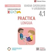 PRACTICALENGUA 4 TRIM (COMUNIDAD ZOOM)
