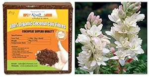 Kraft Seeds Gate Garden Rajnigandha Double Flowering Fragrant Polianthes Tuberosa Flower Bulbs/Seeds & Compressed CocoPeat Block, 5Kg Combo