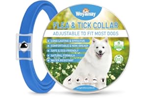 WOYAMAY Collar Antiparasitario Perros, Seguro y Eficaz Collar Antipulgas Perros contra Garrapatas y Mosquitos, 8 Meses de Protección Ajustable e Impermeable Collar Perro para Pequeño Mediano Grandes, Azul