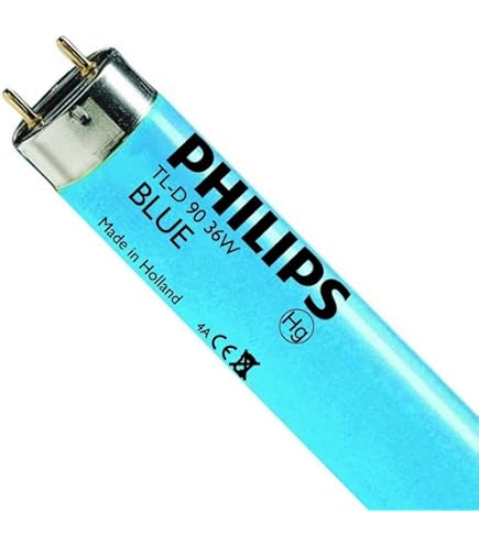 LED Leuchtstab 1m, Matt Softton Grün, 12V Mit Netzteil - Deko-Stab Für Wand, Party, Wohnzimmer
