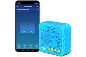 Yueyang Interruttore Intelligente diy WiFi Light Switch 2 Gang 1/2 Way Module Life/Tuya App Mini modulo per Light compatibile con Alexa e Google Home 220v (ys082c)