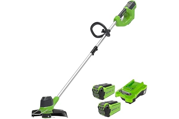 Greenworks 40V Coupe Bordure Sans Fil pour Jardins Moyens, Hauteur Réglable, Largeur de 30 cm, Fil Nylon 1,65 mm à Alimentation Automatique, 2 Batteries 40V 2Ah et Chargeur, Garantie 3 Ans G40LTK2X
