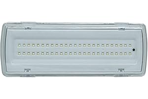 TEMPO DI SALDI Lampada di Emergenza con 50 Led Completa di Incasso + Batteria Luce Bianca 4 W