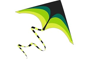 Laptony Delta Verde Delfín Cometa para Niños & Adultos Cometa Preciosa para Juegos y Actividades al Aire Libre Fácil de Volar y Montar Cometa para Deportes al Aire Libre de Verano en Parque