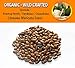 Produktbild 1 Lb / 454 gr: Soursop Seeds Guyano Guanana Graviola Annona Muricata Organic Crafted by Farmerly