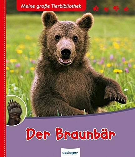 Book's Cover ofDer Braunbär Meine große Tierbibliothek