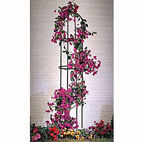 Ranksäule Rankhilfe Blumengitter Rankgestell, 1,85 Meter