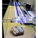 OrionLed Akvaryum Led Aydınlatma Karışık Renkli Beyaz Kırmızı Mavi 40Cm