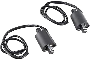 QIILU 2 piezas Bobina de Encendido de Coche de Motocicleta Módulo de Bobina de Encendido de Repuesto Más Cortas y Más Largas Aptas para Virago 1100 XV1100 1986-1999