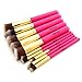 Foolzy Pink Set of 10 Professional Makeup Brushes Kit (BR-15E) RS.599.00