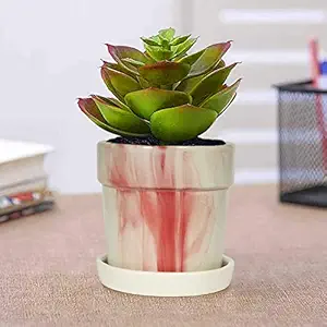 Lasaki Lyla Pastel Red Ceramic Pot with White Plate (CIR003) for Indoor Plants || Planters, Flower Pots, Gamla, Table Top, Outdoor, Succulent, Cactus Plant Pot Container Planter (Set of 1)