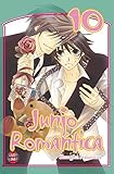 Image de Junjo Romantica 10