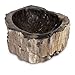 Produktbild Oriental Galerie Fossilwaschbecken Waschbecken aus versteinertem Holz Naturstein Stein Becken Fossil Marmorierung Unikat Nr. 1002