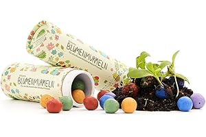DIE STADTGÄRTNER 25 bombe a seme colorate fatte a mano con oltre 20 tipi di semi di fiori, regalini di compleanno per bambini, 100% ecologico 2 J. durevole