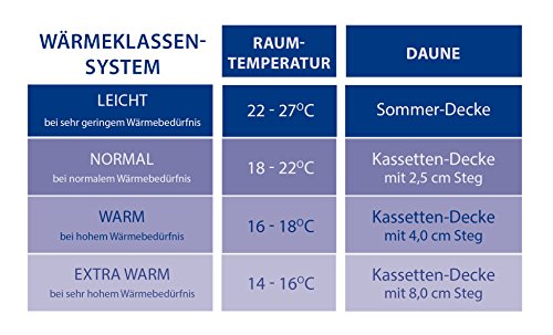 Böhmerwald 309610-11 Kassettenbett mit 2,5 cm Innensteg, 100 % Daunen, 135 x 200 cm, 490 g - 5