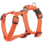 Reflektierendes Hundegeschirr, leuchtet im Dunkeln zur Sicherheit bei Nacht, Neon