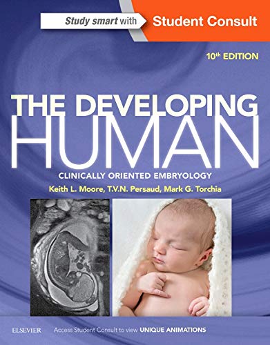 Preisvergleich Produktbild The Developing Human: Clinically Oriented Embryology