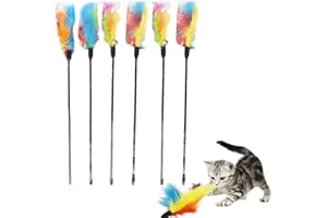 EIHI 6 Stück Federstab Interaktives Spielzeug Mit Federn Für Kätzchen