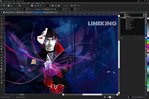 Corel DRAW Graphics Suite 2017 - Software De Dise  o Gr  fico  Upgrade  Ingles