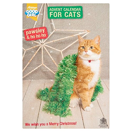 Armitage - Pet Care Pawsley Good Girl - Calendario de adviento (72 g)