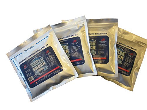 Ready To Use Cooler Shock Mid Size Cooler Freeze Desertcart