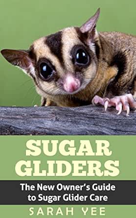sugar sugar glider