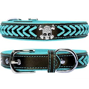 Vcalabashor Collar de Perro de Cuero,Collares Trenzados de Piel de Perro con Tachuelas y Calavera de Diamante,Collares de Perro Acolchado Suave,Negro & Azul,Se Adapta a Perros Pequeños