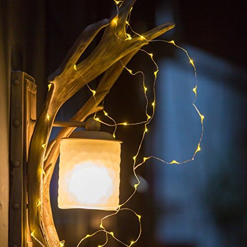 LED String Lights Fairy Lights, ZISTE 60 Leds Lights 10ft Indoor Decorative Silver Wire Lights For Bedroom ,Patio,Outdoor Garden,Stroller,Christmas Tree,Rice Shape Warm White