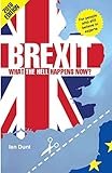 Brexit: What the Hell Happens Now?: A Quick Guide to Britain's Biggest Issue by Ian Dunt