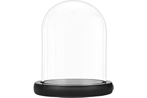 ‎BELLE VOUS Belle Vous Glasglocke Deko mit Schwarzem Holzsockel - 19,5 cm Hoch - Klare Dekorative Glocke aus Glas mit Tablett für Lichterketten, Tafelschmuck und Antiquitäten