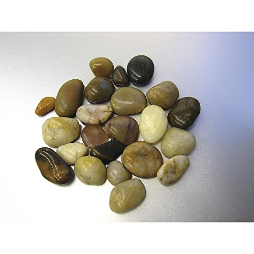 Dekosteine (1L=3,59EUR) Flusskiesel 20-40mm im 5 L Eimer Eurosand - 2