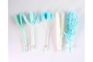 The Baked Studio - Original Dried Flower Set Containing Pampas, Oats, Wheat, Lagarus Bunny Tails & Phalaris For Cake & Cupcake Decorating & Others Crafts (Tiffany Blue)