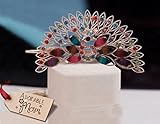 TIED RIBBONS Multicolour Metal Peacock Hair Clip with Wooden Tag