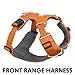 Produktbild Ruffwear Ganztags-Hundegeschirr, Große bis sehr große Hunderassen, Größenverstellbar, Größe: L/XL, Orange, Front Range Geschirr, 30501-801LL1