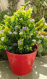 RVs Garden Bucket Galvanized Metal Hanging Planter, 23 cm